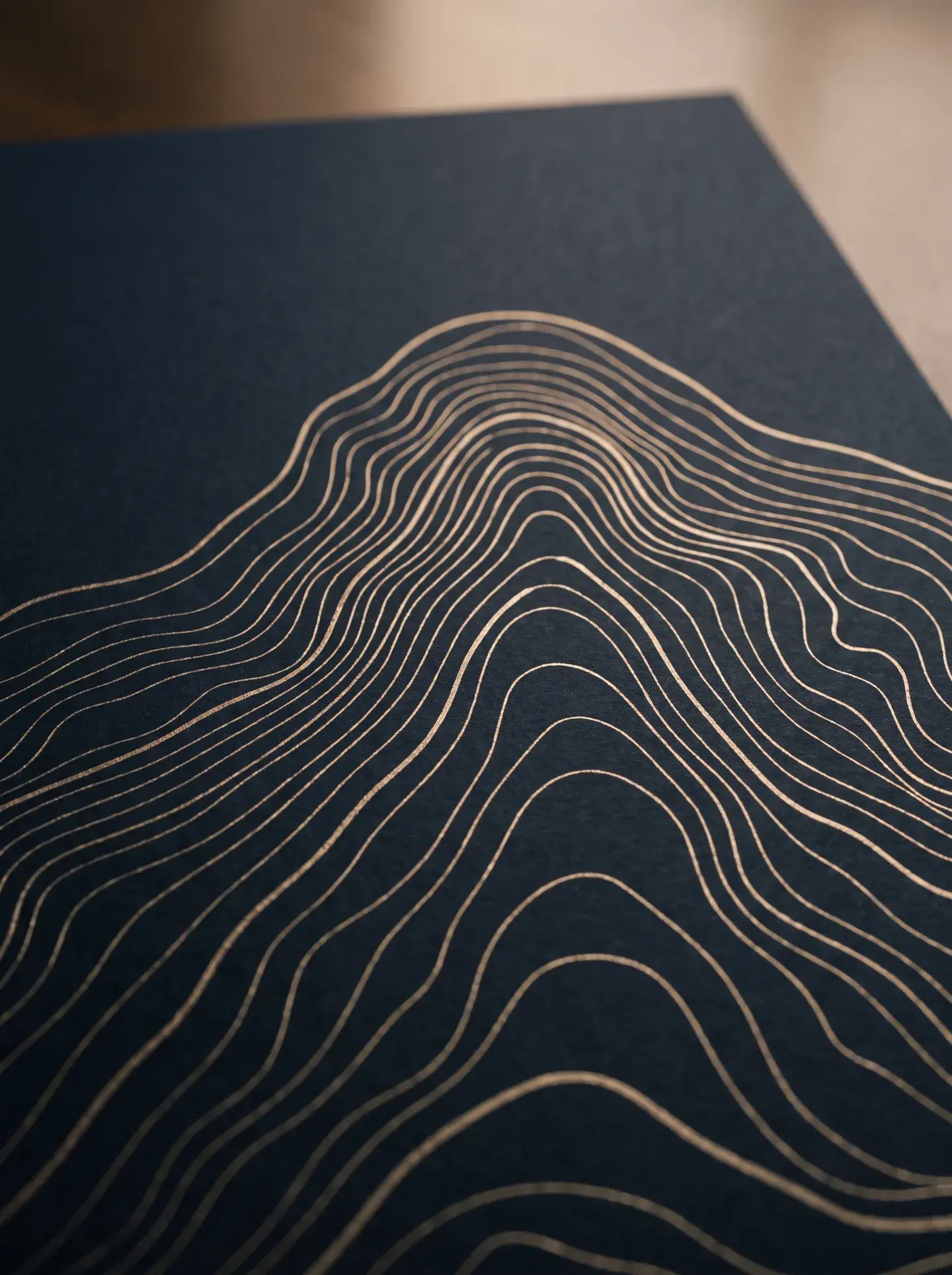 Thin champagne contour lines tracing an upward route across a deep navy field